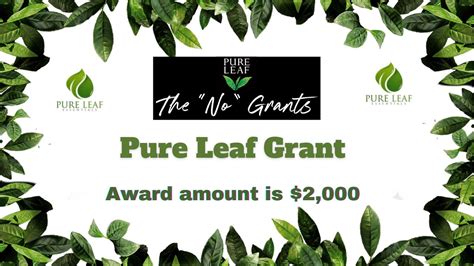 pure leaf tea grants|pure leaf no grants for moms.